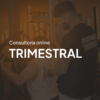 Consultoria Online - Trimestral